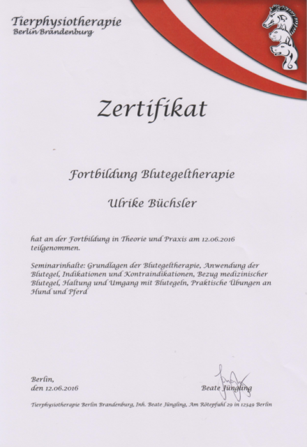 Blutegeltherapie_Zertifikat